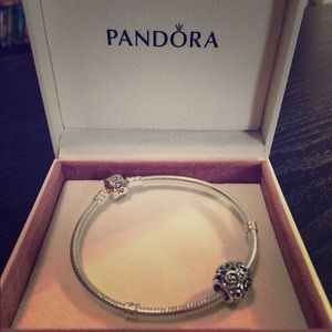 Brand New Pandora Charm Bracelet